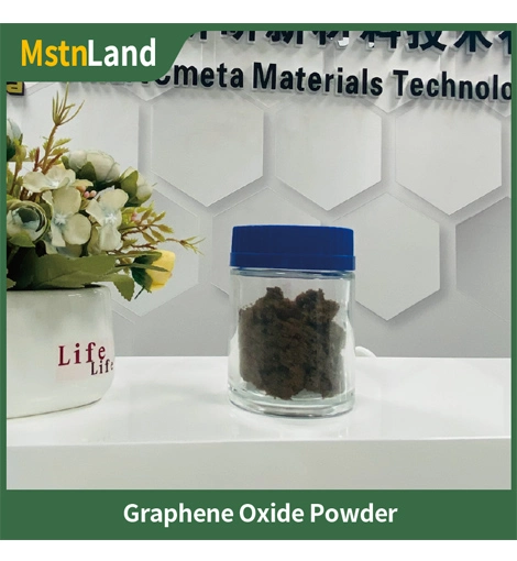 graphene oxide powder 2