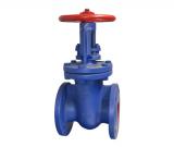 cast-iron-flanged-rising-stem-gate-valve_160x160.jpg