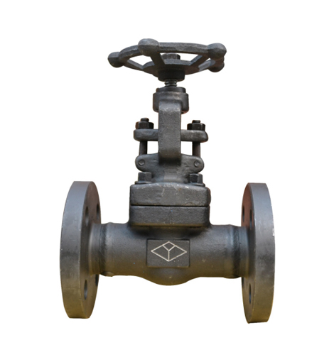 API602/ ASME Forged Steel Flanged Globe Valve