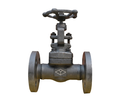 API602/ ASME Forged Steel Flanged Globe Valve