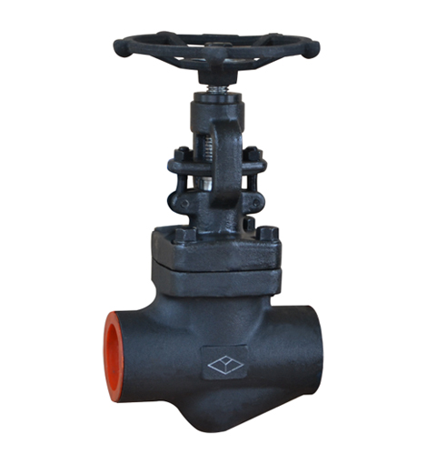 API602/ ASME Forged Steel Socket Welding Globe Valve