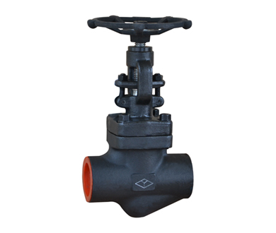 API602/ ASME Forged Steel Socket Welding Globe Valve