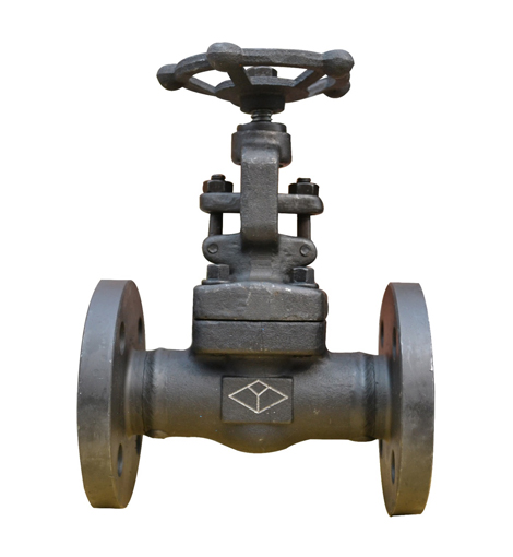 Forged Steel Flanged Globe Valve