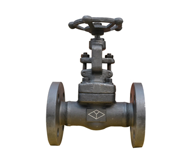 Forged Steel Flanged Globe Valve