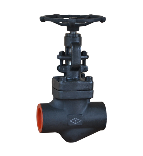 Forged Steel Socket Welding Globe Valve