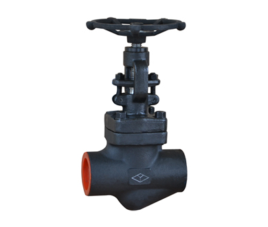 Forged Steel Socket Welding Globe Valve