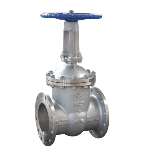 stainless steel flanged gate valve 1