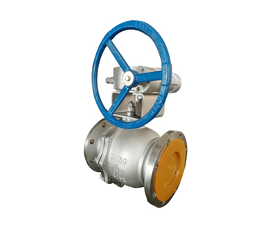 Worm Gear Stainless Steel Floating Ball Valve