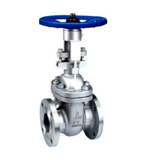 API600 Stainless Steel Flanged Gate Valve