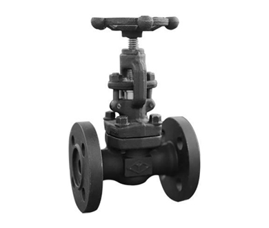 API602/ ASME Forged Steel Flanged Gate Valve