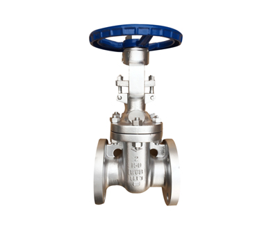 API603 Stainless Steel Flanged Gate Valve