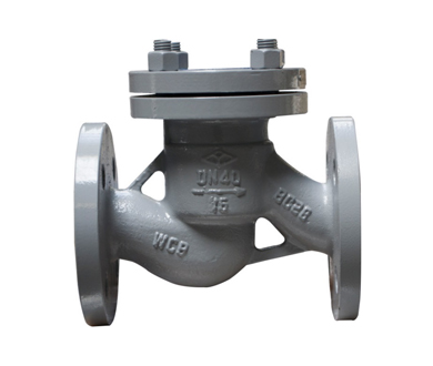 Cast Steel Lift Check Valve