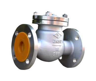 Stainless Steel Swing Check Valve