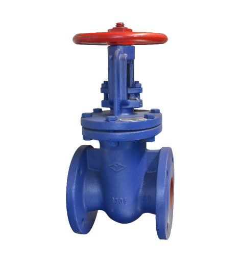 cast iron flanged rising stem gate valve 1