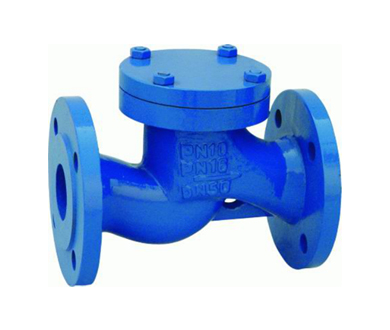 Cast Iron Lift Check Valve