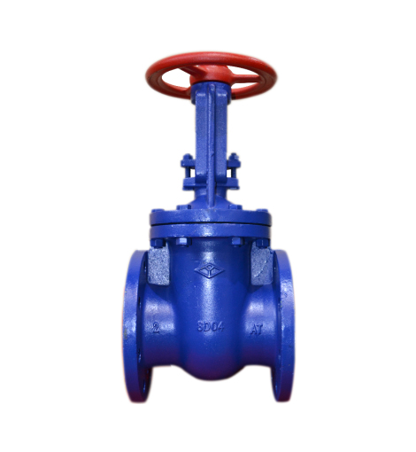 Cast Iron Parallel Double Plate Gate Valve