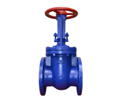 Cast Iron Parallel Double Plate Gate Valve