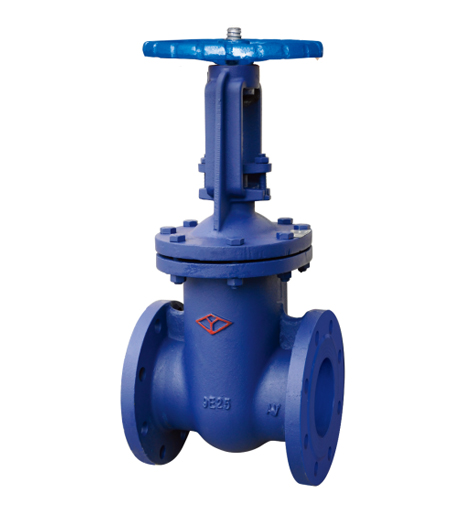 Cast Iron Rising Stem Wedge Gate Valve