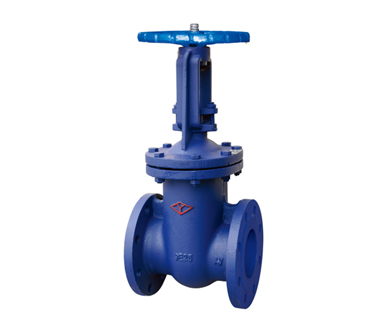 Cast Iron Rising Stem Wedge Gate Valve