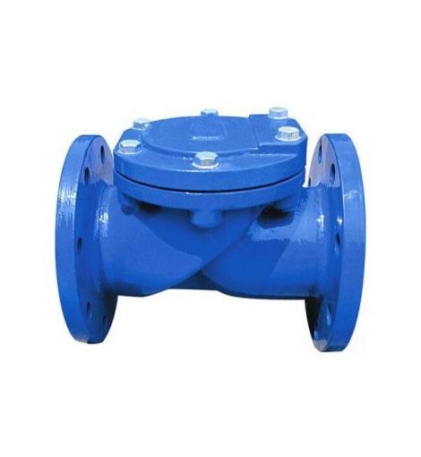 Cast Iron Rubber Disc Swing Check Valve 