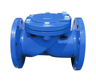 Cast Iron Rubber Disc Swing Check Valve