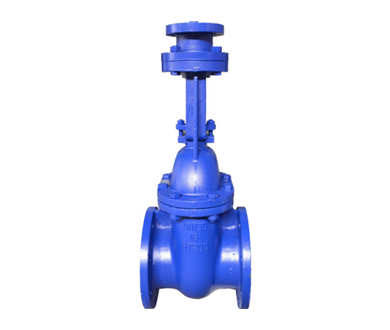 Electric Flanged Rising Stem Gate Valve