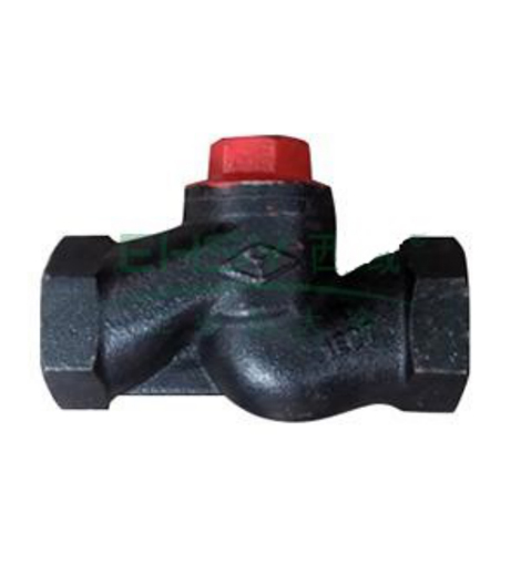 Internal Thread Swing Check Valve