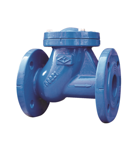 Cast Iron Ball Check Valve