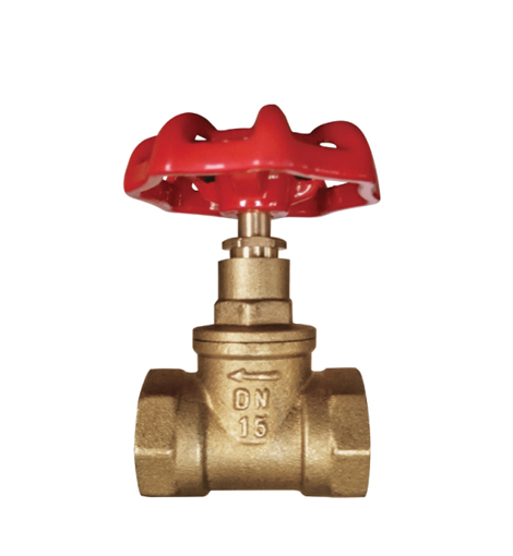 Brass Globe Valve