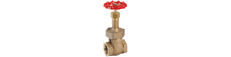 Union Bonnet Gate Valve